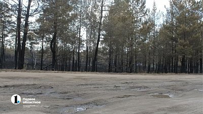 Правительство России направит 480 млн рублей на строительство дороги Париж – Джабык