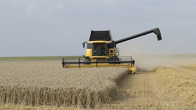 Челябинская область из-за засухи потеряла 17% запланированного урожая зерна