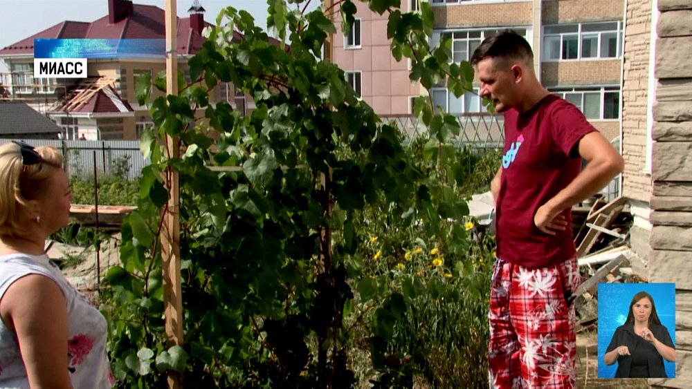 Садовод-любитель вырастил на участке виноград