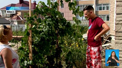 Садовод-любитель вырастил на участке виноград