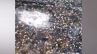 Видео пожара в национальном парке «Таганай»