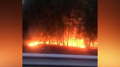 В Сети опубликовали видео горящего под Миасским леса