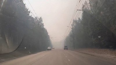 Пожар в лесу на Тургоякском шоссе в Миассе попал на видео