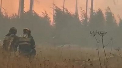 Пожарные попали в огненное кольцо в Мордовском заповеднике