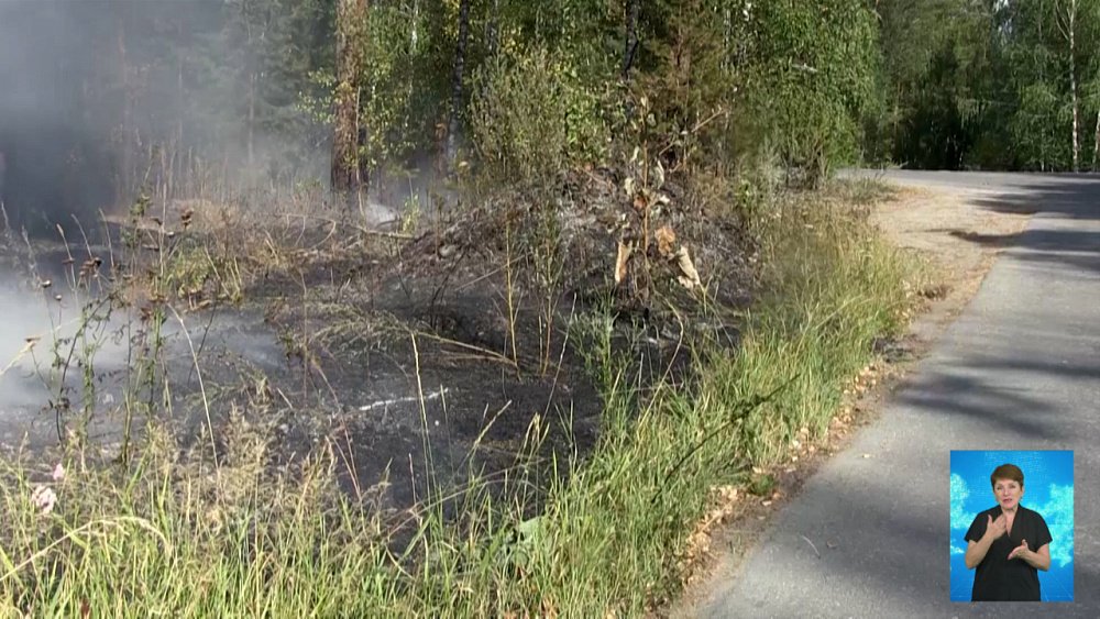 Спасатели за сутки ликвидировали 26 лесных пожаров