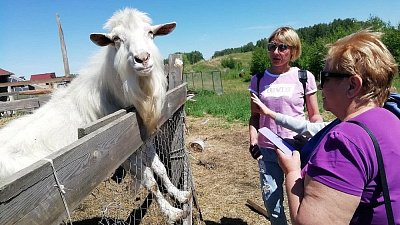 Сельский туризм в Челябинской области включили в список приоритетных направлений
