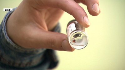 Сезон клещей в Миассе еще не закончен