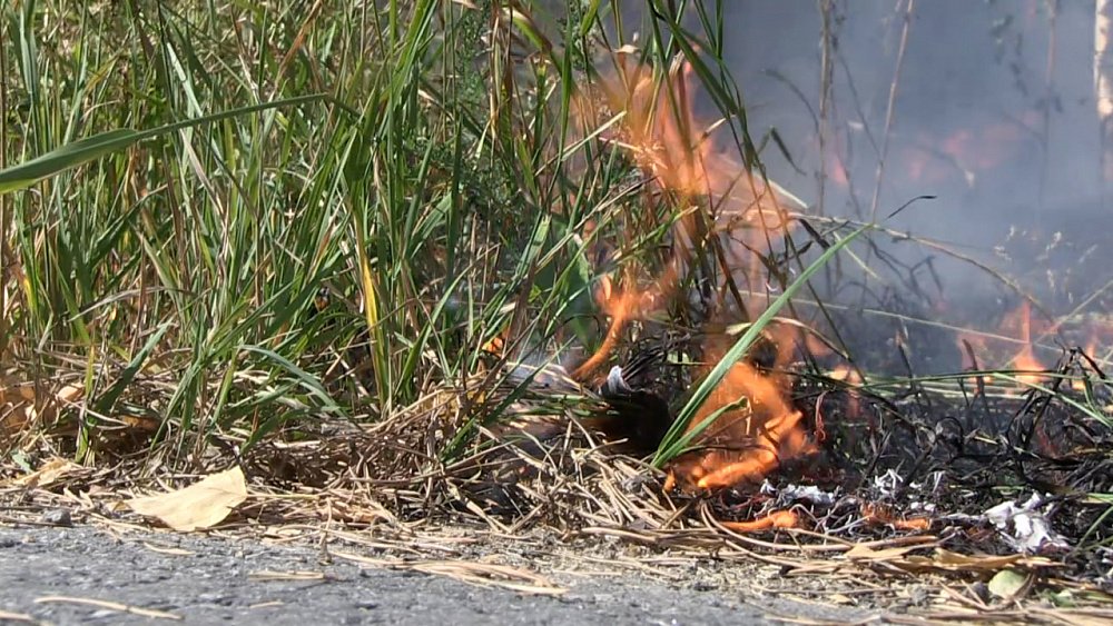 В Миассе тушили лесные возгорания