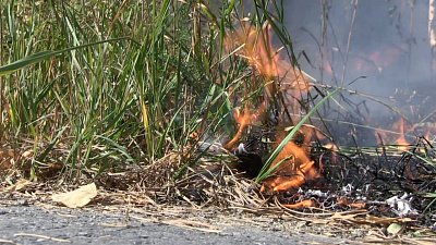 В Миассе тушили лесные возгорания