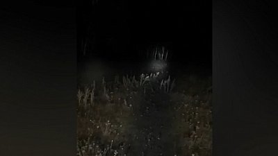 Видео с поисков пропавшего мужчины в Сосновском районе