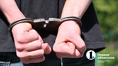 В Челябинской области в два раза выросло число взяткодателей