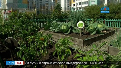 Челябинск — город цветущий!