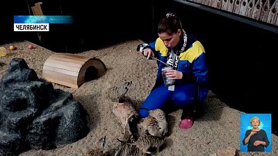 93% россиян считают свою профессию полезной