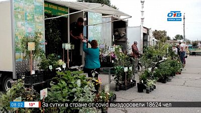 Шоп-туры по Челябинской области