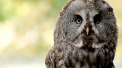 Будни совиной общаги сняли на видео журналисты ОТВ