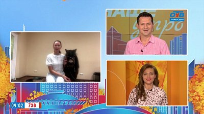 Конкурс красоты в Челябинском зоопарке — Гость на связи