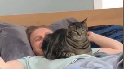 Мех и смех: спецвыпуск с понедельничным настроением