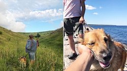 Путешествие на край света: челябинская семья с ребенком и собаками на машине доехала до Териберки