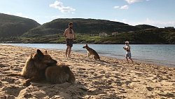 Путешествие на край света: челябинская семья с ребенком и собаками на машине доехала до Териберки