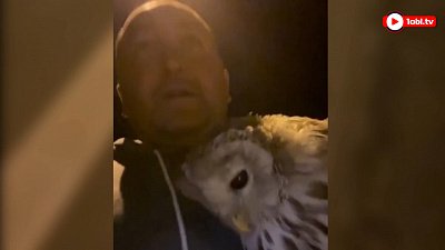 Эльбрус Нигматуллин снял видео о спасении совы