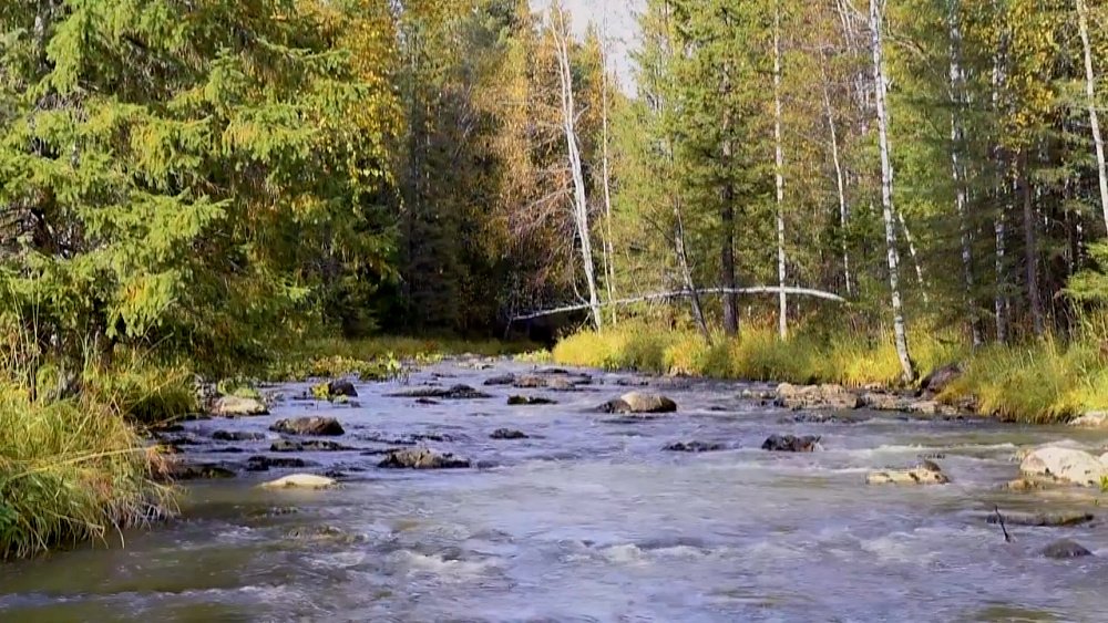 Итоги конкурса туристских видео «Диво России»