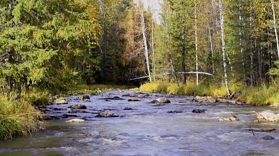 Итоги конкурса туристских видео «Диво России»