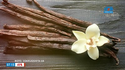 Какие духи выбирать осенью в рубрике «Ароматное утро»