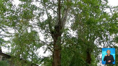 Семья школьницы требует от чиновников 1,2 млн рублей