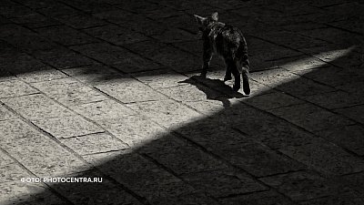 Фразеологизм «свет клином сошелся» в рубрике «Добавь обороты»