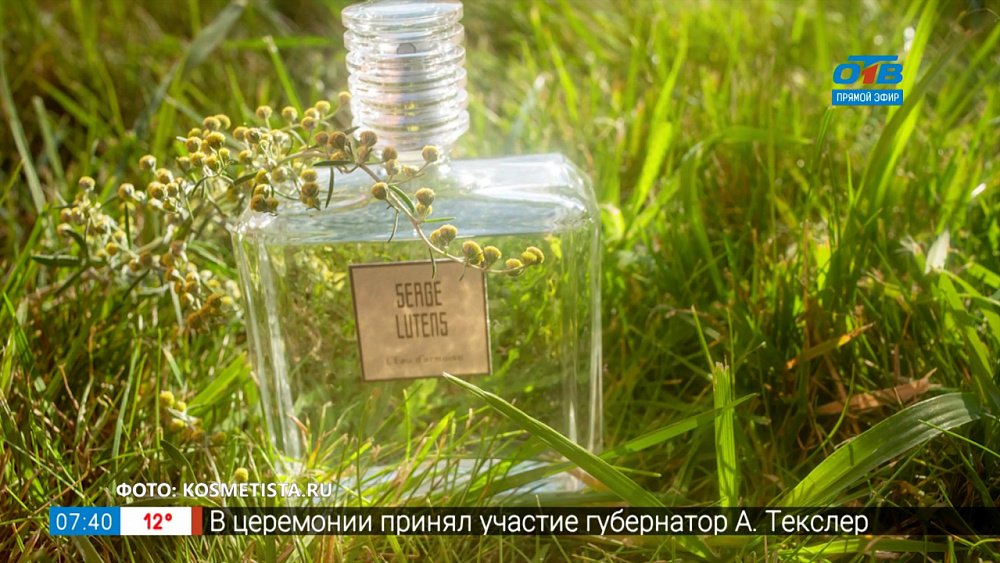 Духи по гороскопу в рубрике «Ароматное утро»