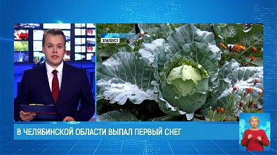 В Челябинской области выпал первый снег