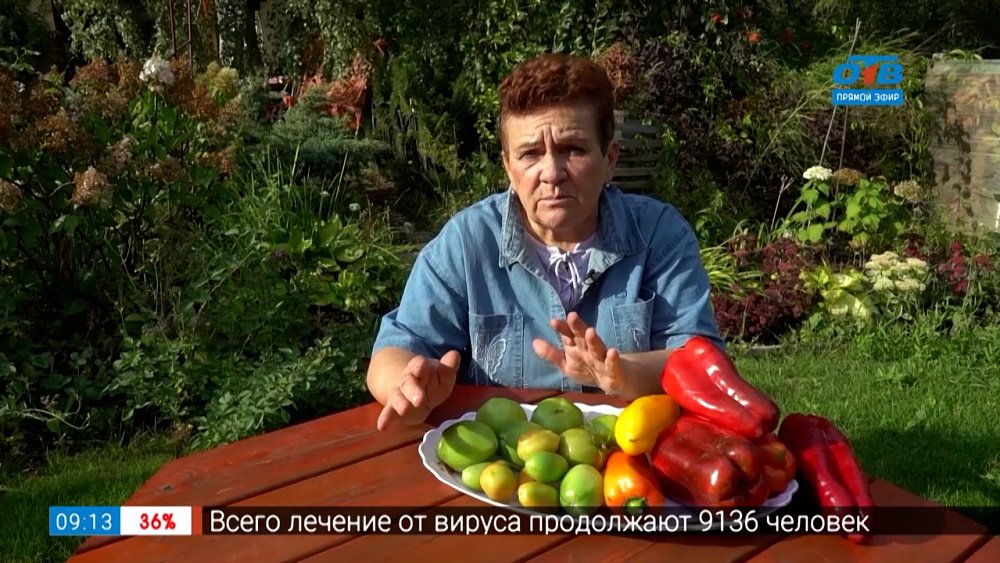 Советы, чтобы урожай дозрел в рубрике «Руки садовода»