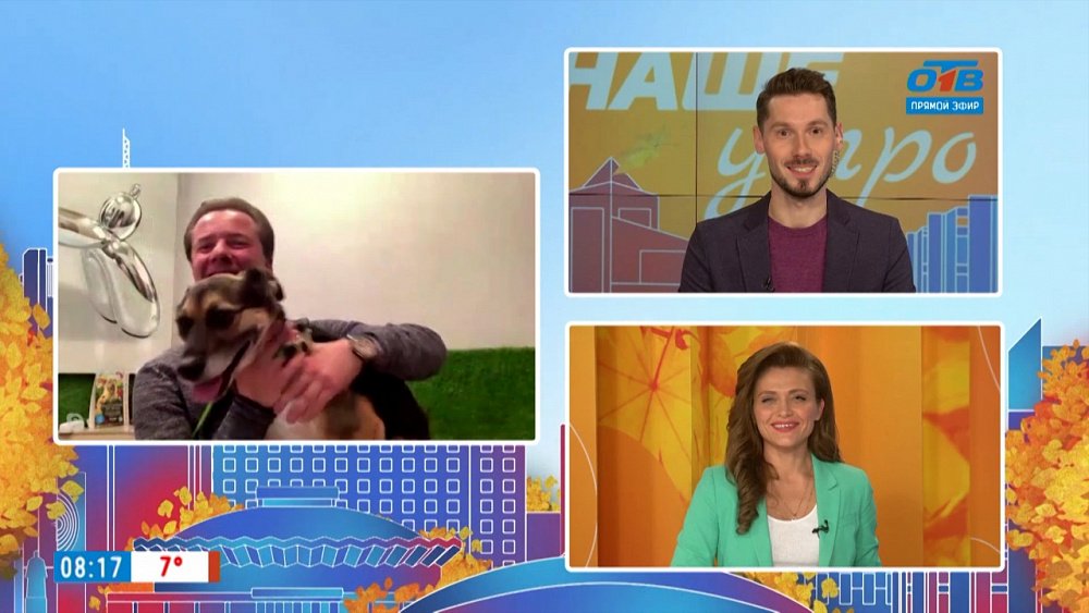 Новый законопроект о домашних животных — Гость на связи