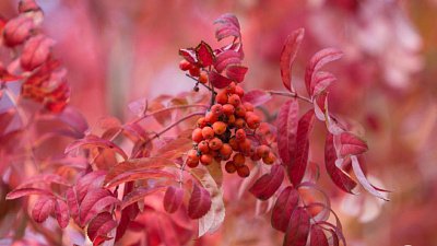 Праздничные и памятные даты 22 сентября в рубрике «Календарь» от «Нашего утра»