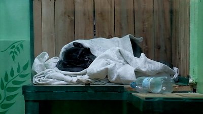 В Челябинском зоопарке утепляют вольеры к зиме: видео из жилищ енотовидных собак и лисиц