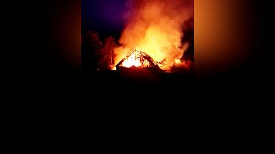 Пожар в миасском приюте для животных попал на видео