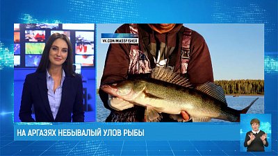 На Аргазях небывалый улов рыбы