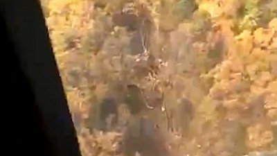 Видео с места крушения самолета Ан-26 под Хабаровском