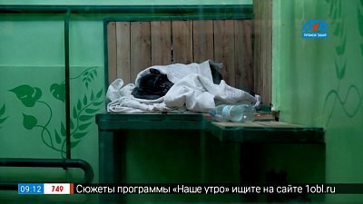 Утепление вольеров в рубрике «Живой репортаж»