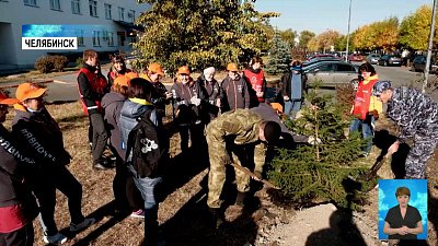 Территорию детской больницы озеленили