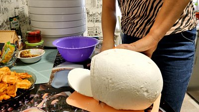 Грибы размером с голову взрослого человека нашли под Троицком: видео телеканала ОТВ