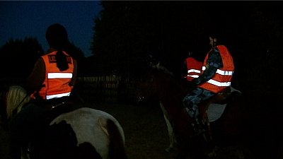 Поисковый отряд «ЛизаАлерт» организовало конное направление