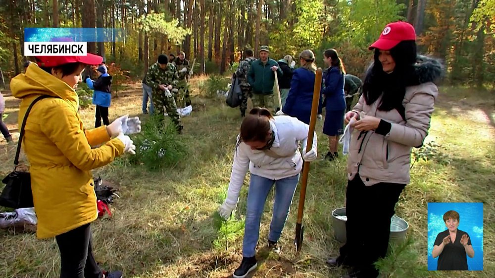 В городском бору высадили саженцы хвойных