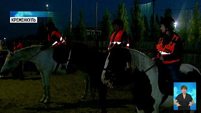 Поисковики из «ЛизаАлерт» пересядут на лошадей