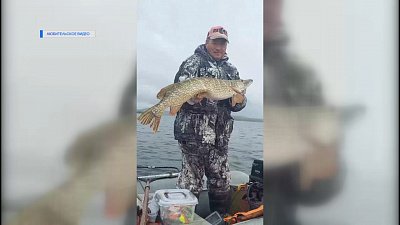 Миасские рыбаки хвастаются уловом