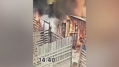 Пожар в челябинском приюте для бездомных животных попал на видео