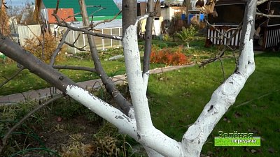 Зеленая передача 30.09.2021