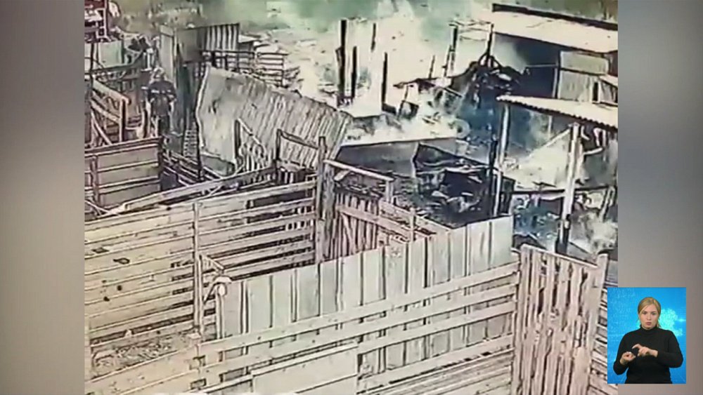 В Челябинске сгорел приют для животных