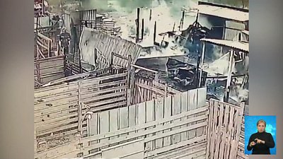 В Челябинске сгорел приют для животных
