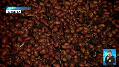 Стоит ли покупать «борщевой набор» впрок?